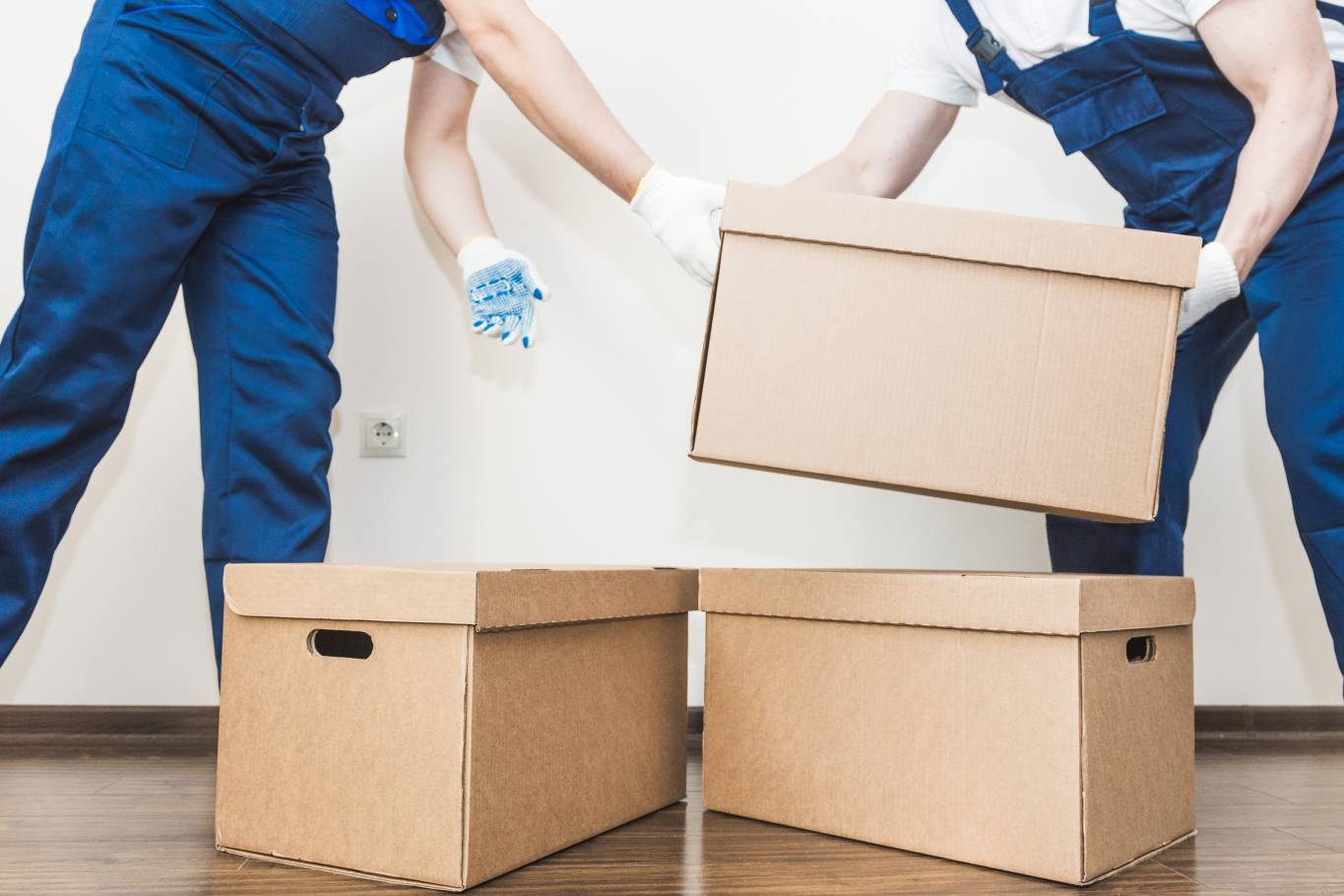 Packers And Movers in Noida Sector 6
